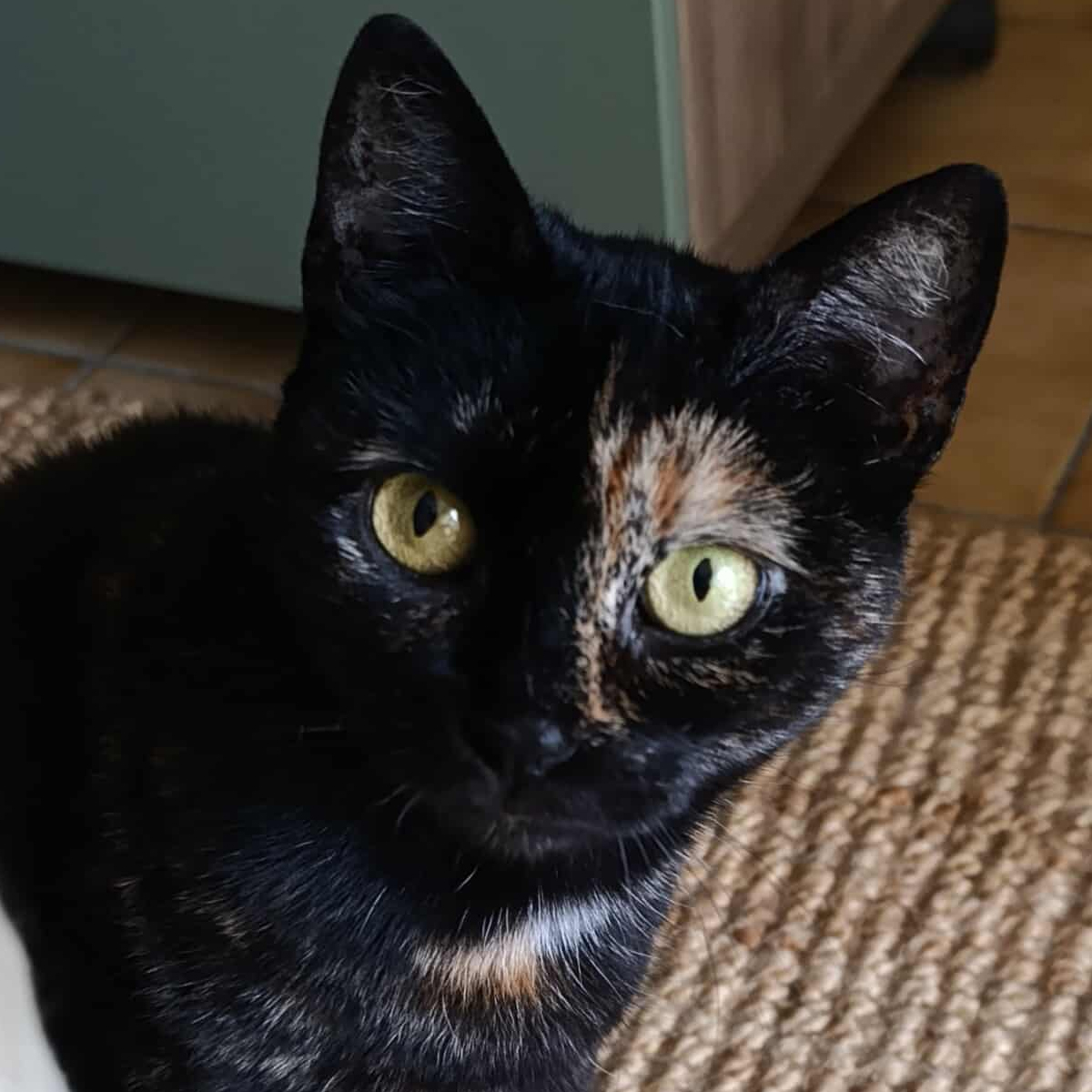 Neela